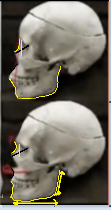 1599765461847