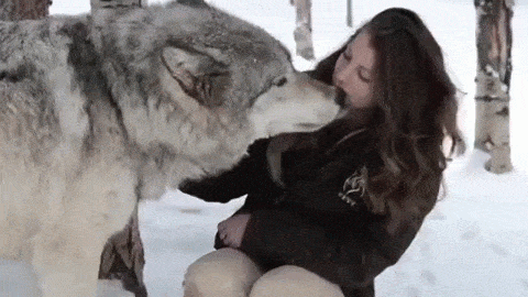 7531fd3bdbdf9193e024655c7fde4c46