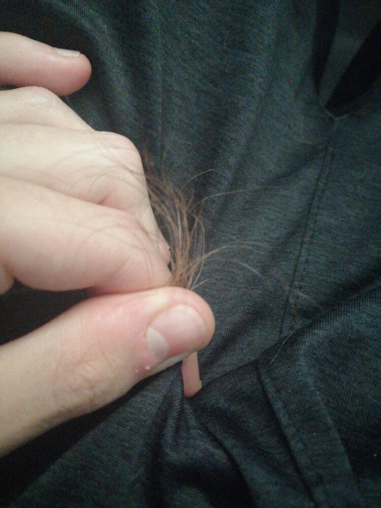 JPEG 20200905 163826