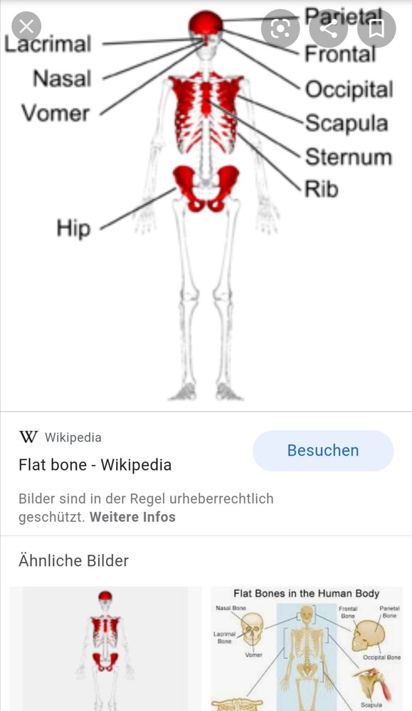 Screenshot 20200912 000002