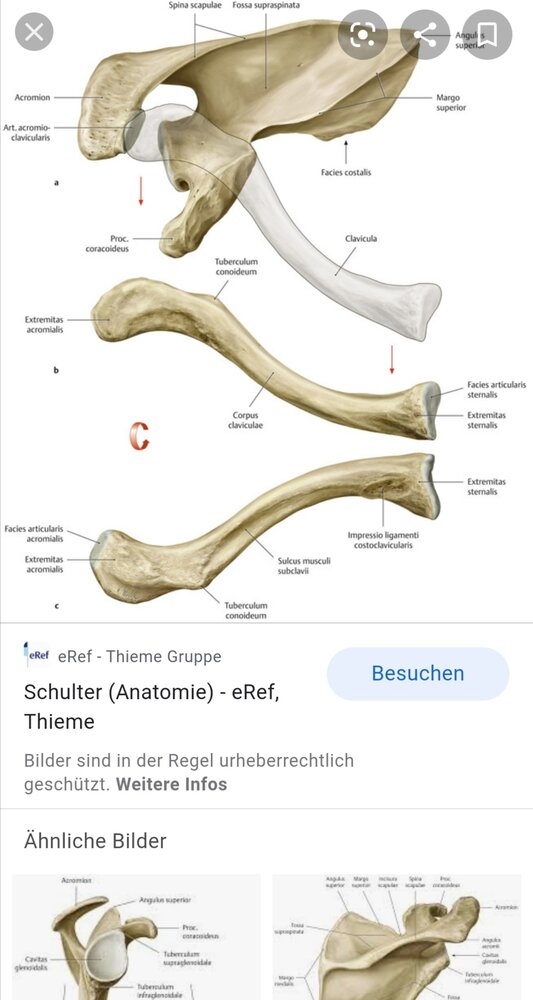 Screenshot 20200912 000152