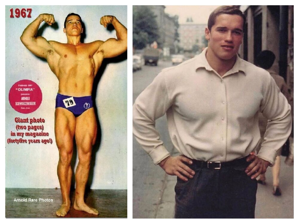Arnold