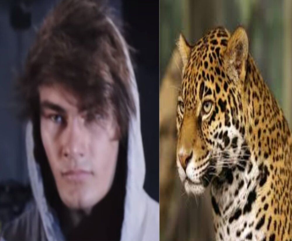 Jeff the hunter