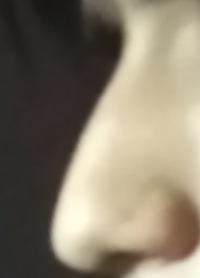 Screenshot 2020 09 15 02 50 142