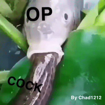 C570CD5C DE13 4601 BDE3 A9DFFC0001E7