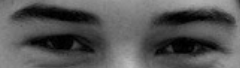 Chicoeye