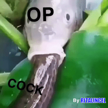 C52FF66B E6AD 494B 89E3 62E956860F41