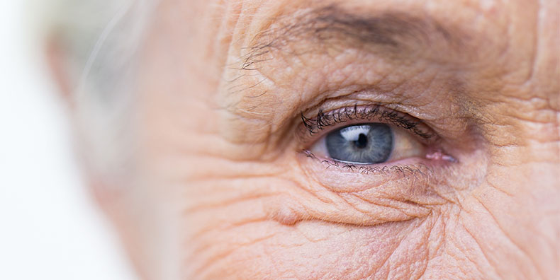 Shutterstock 319607033