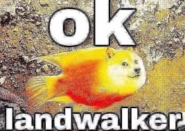 A2B10F93 1EE3 4386 8864 23E4E086EBFC