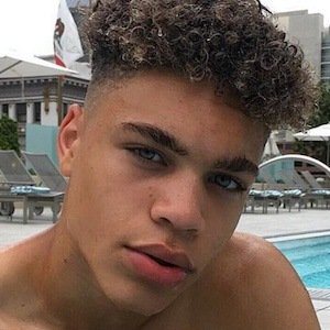 Whittaker brian image