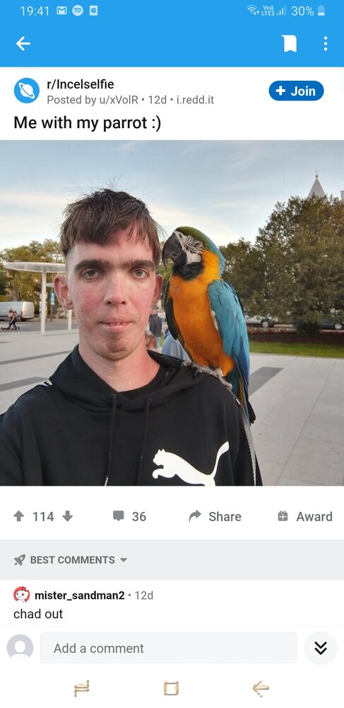 Screenshot 20200917 194102 Reddit