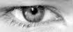 23249DCD 8E8F 4454 B0B6 77BC12510116