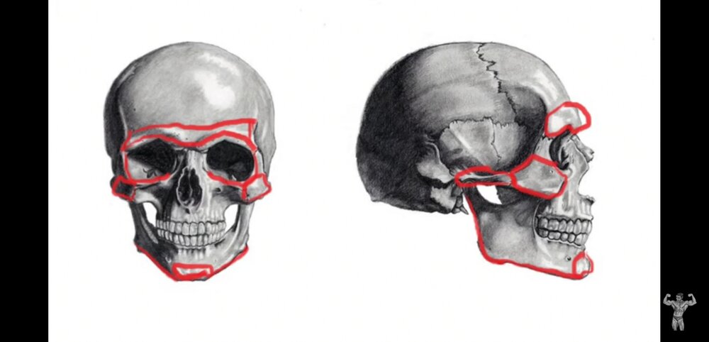 Screenshot 20200228 174816 comgoogleandroidyoutube