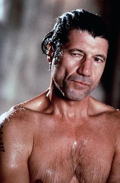 79e2996f76045e625e6e5b0887619a86  fred ward male celebrities