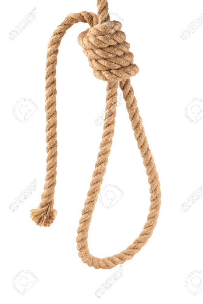 126139792 the gallows a rope for hanging on a white background 