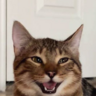 5480
