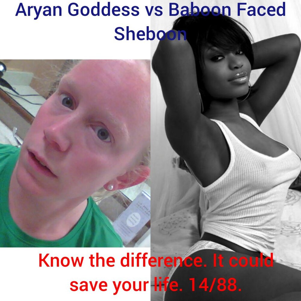 4c7892bd63593ad2f84c22803562864abaf34ddbd092c2203fc02771c9b447ae