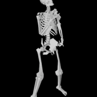 D897E4DF CA55 4D23 AF6F 752B40AC7EC1