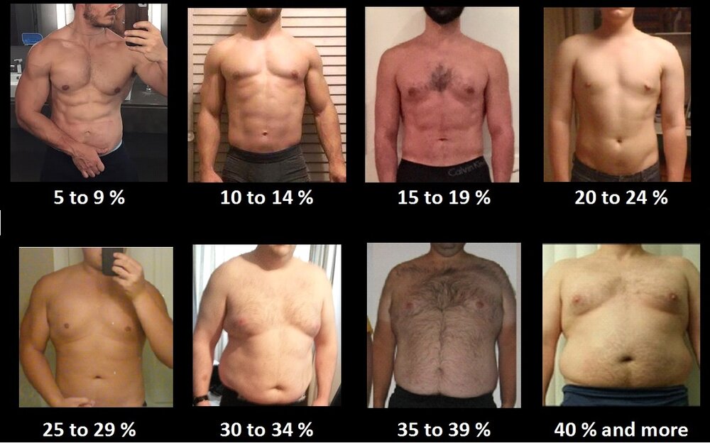 BF Male