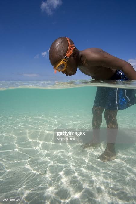 Images   2020 07 05T183328802