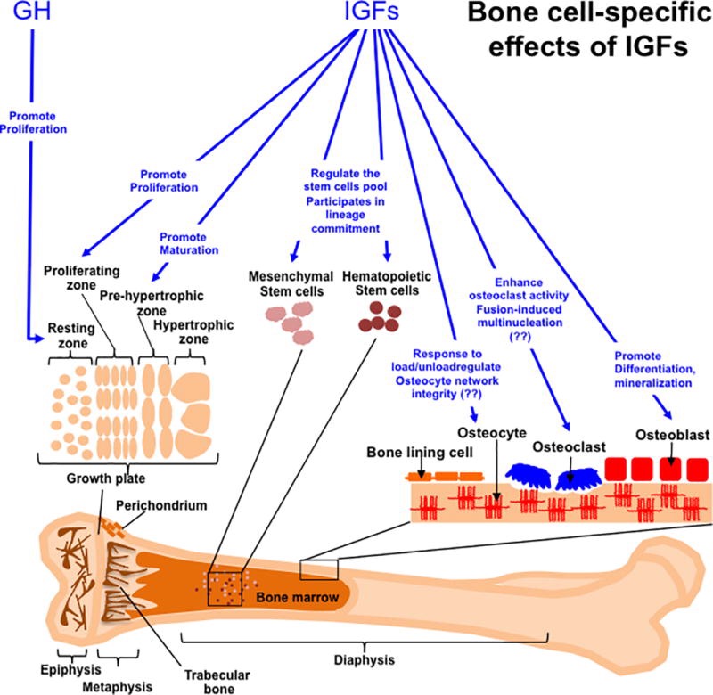 1CE72342 A2D0 4A33 97BE 62E78E6D9409