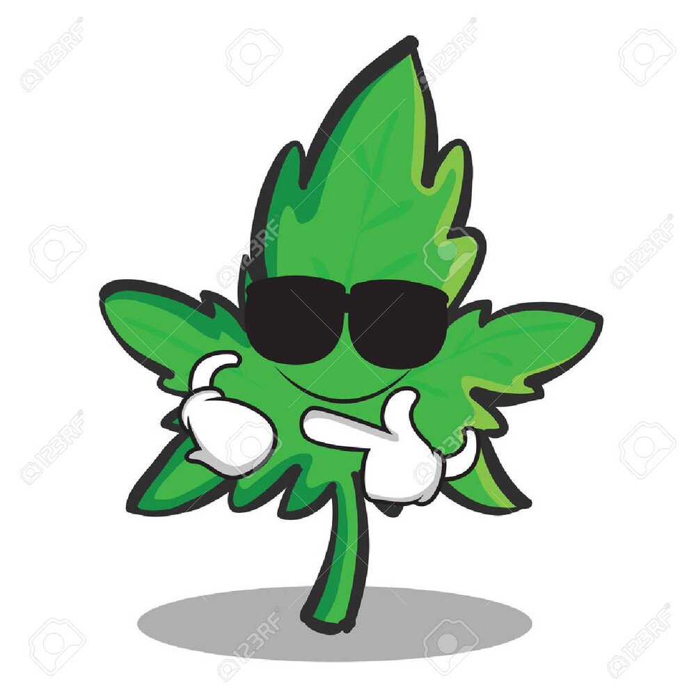 81798461 super cool marijuana character cartoon