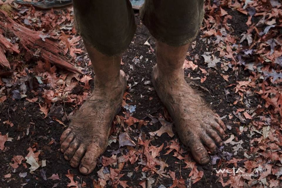 Cb3afb4ed87aac454b7914c4320319b9