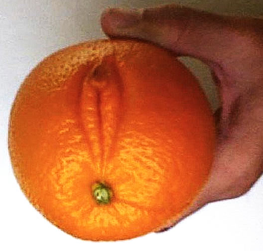 Opussy