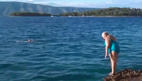 Wateriswhet