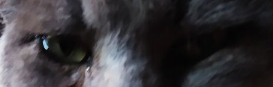 1601376941219