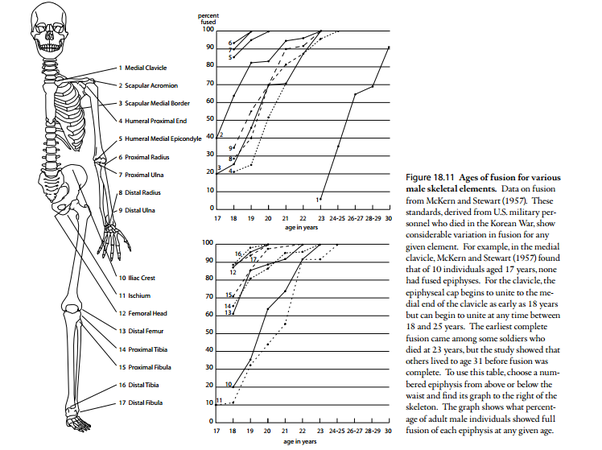 08EB399B D38D 4B62 8511 4DCDA30226FB