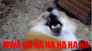 1598974705135.png