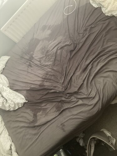 1CC7468B 4065 41EC AC83 969194B50433