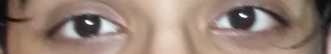 Capture.PNG