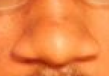 Bellpep