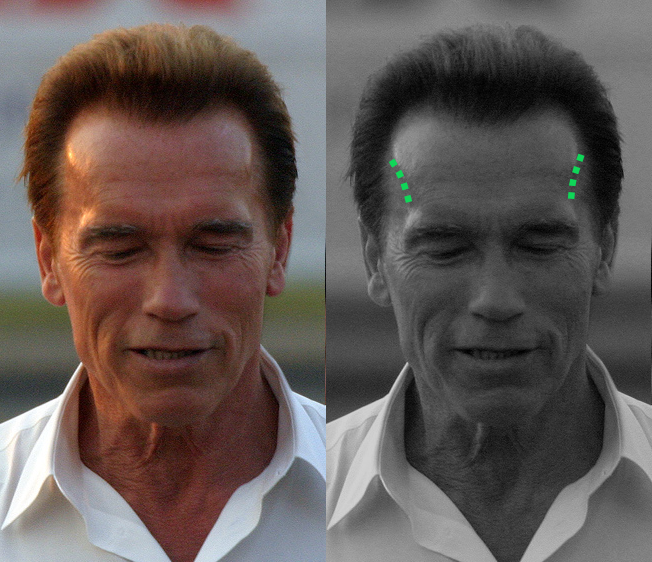 2007 Arnold Schwarzenegger   cropped   temporal line