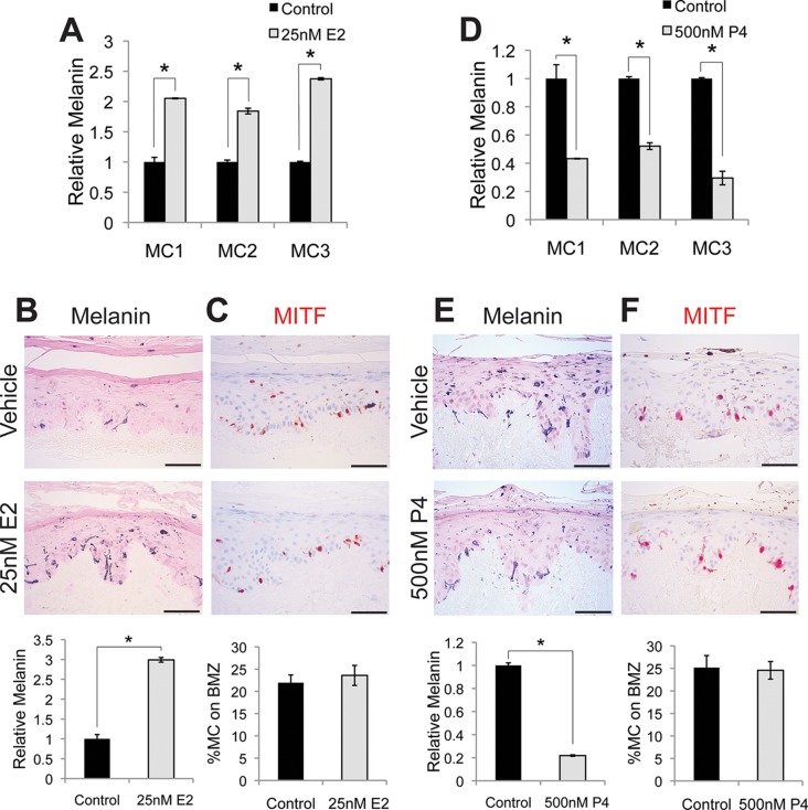 Elife 15104 fig1