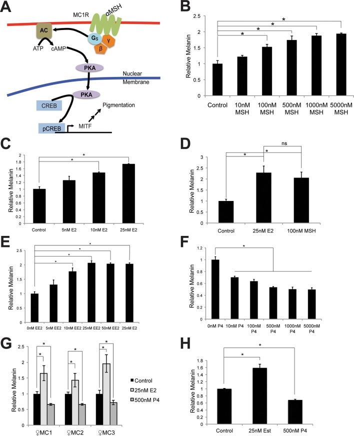 Elife 15104 fig1 figsupp1