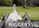 730851576176181289 1