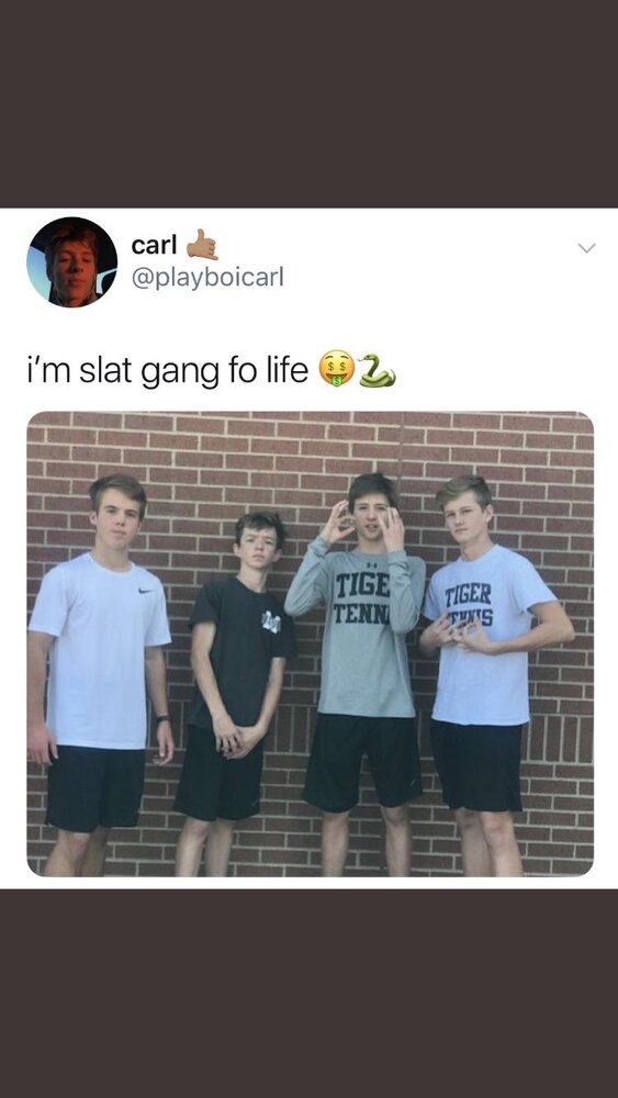 Ms8dskzd1kn21