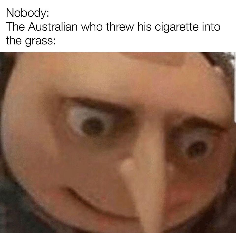 F125A753 280B 438B 813A F5FC59AE58C5