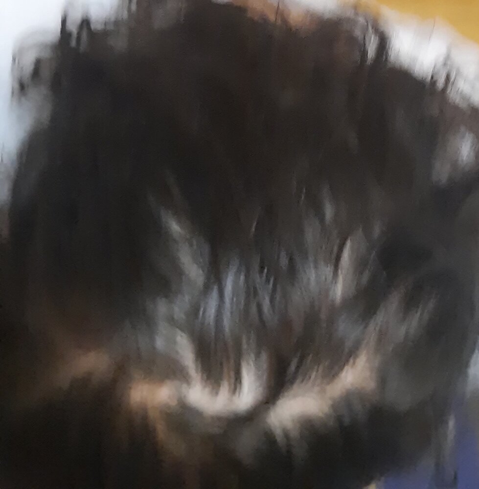 20201004 175847