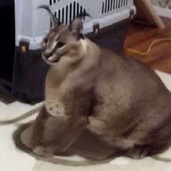 1601898397199