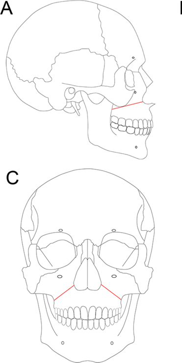 41598 2019 46233 Fig1 HTML2