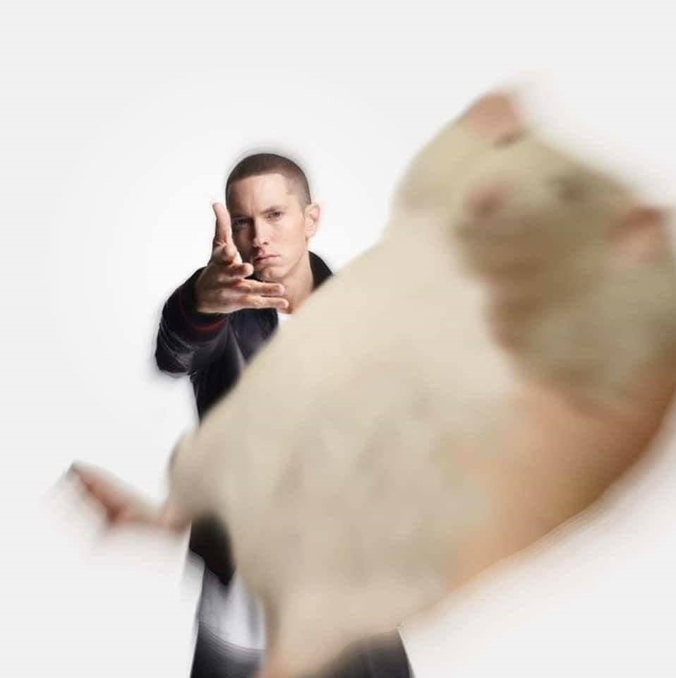 Hamster