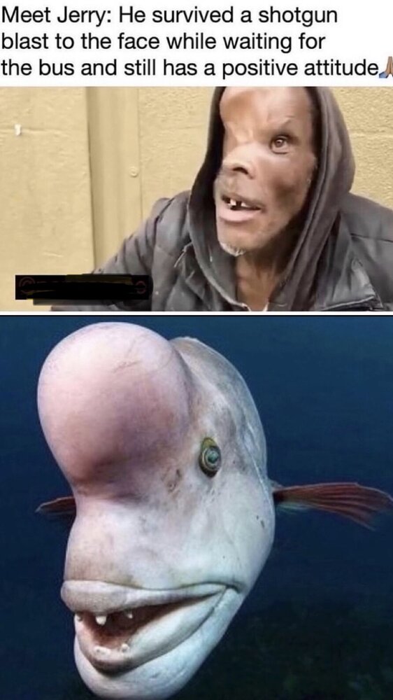 0804B698 0414 4466 8B01 DF01E3F7A9F2