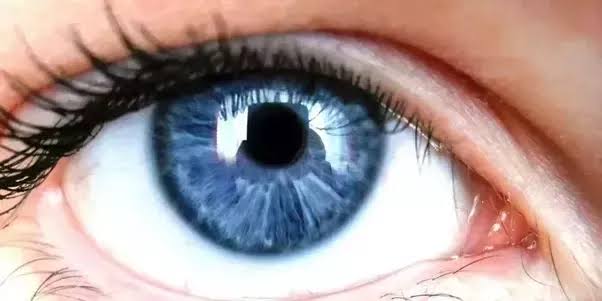 4A112284 EA64 41C1 8CFE A8D9A25E1E3B