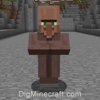 Villager farmer