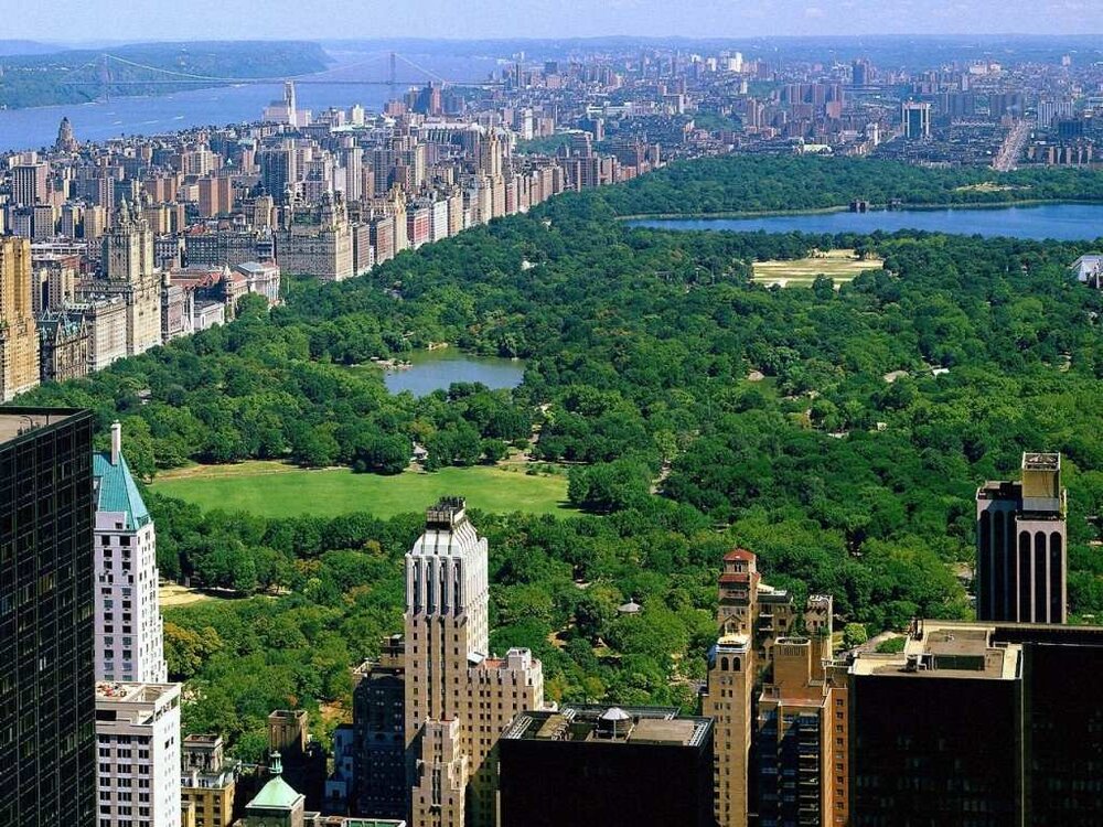 Central park new york