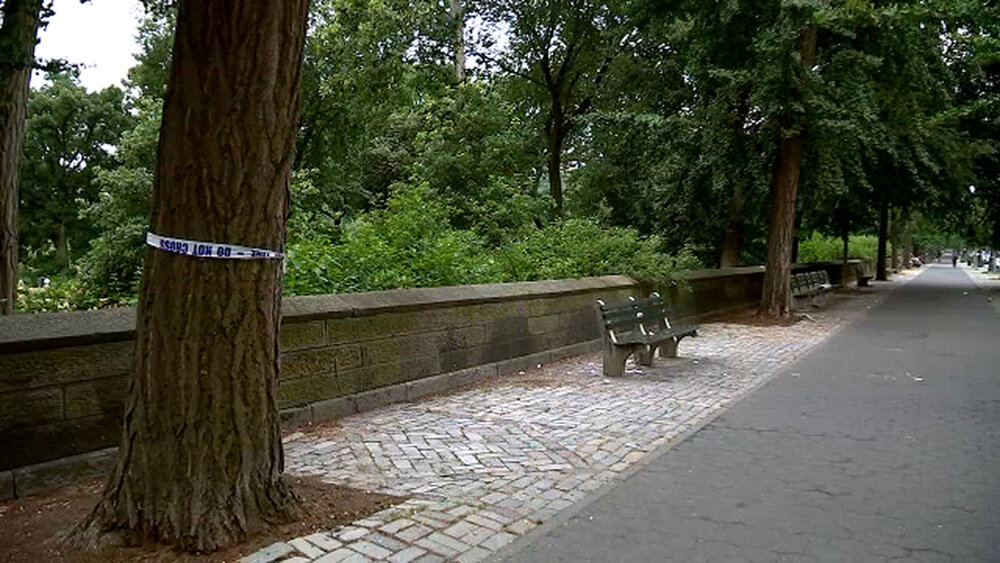 5382664 070719 wabc centralparkshooting img